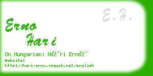 erno hari business card